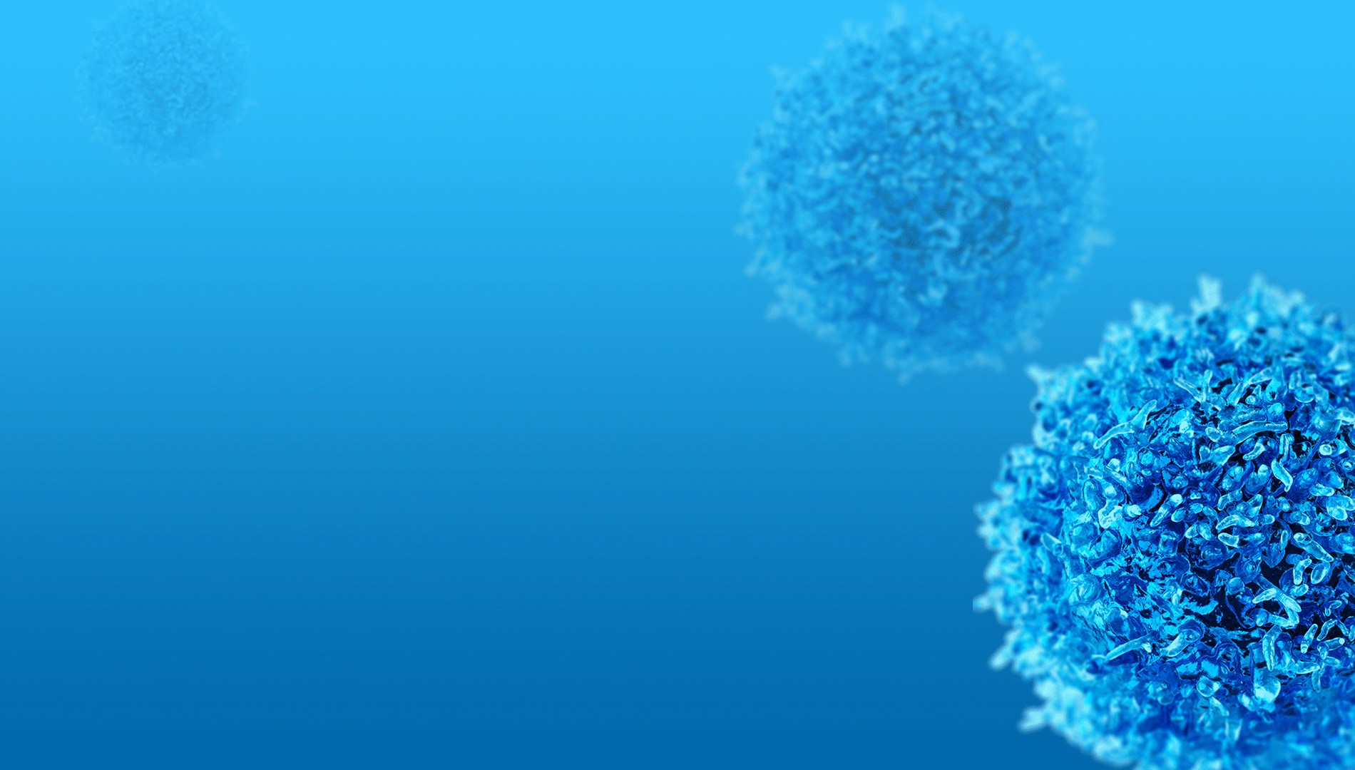 Car-T_Banner_NoLogo_