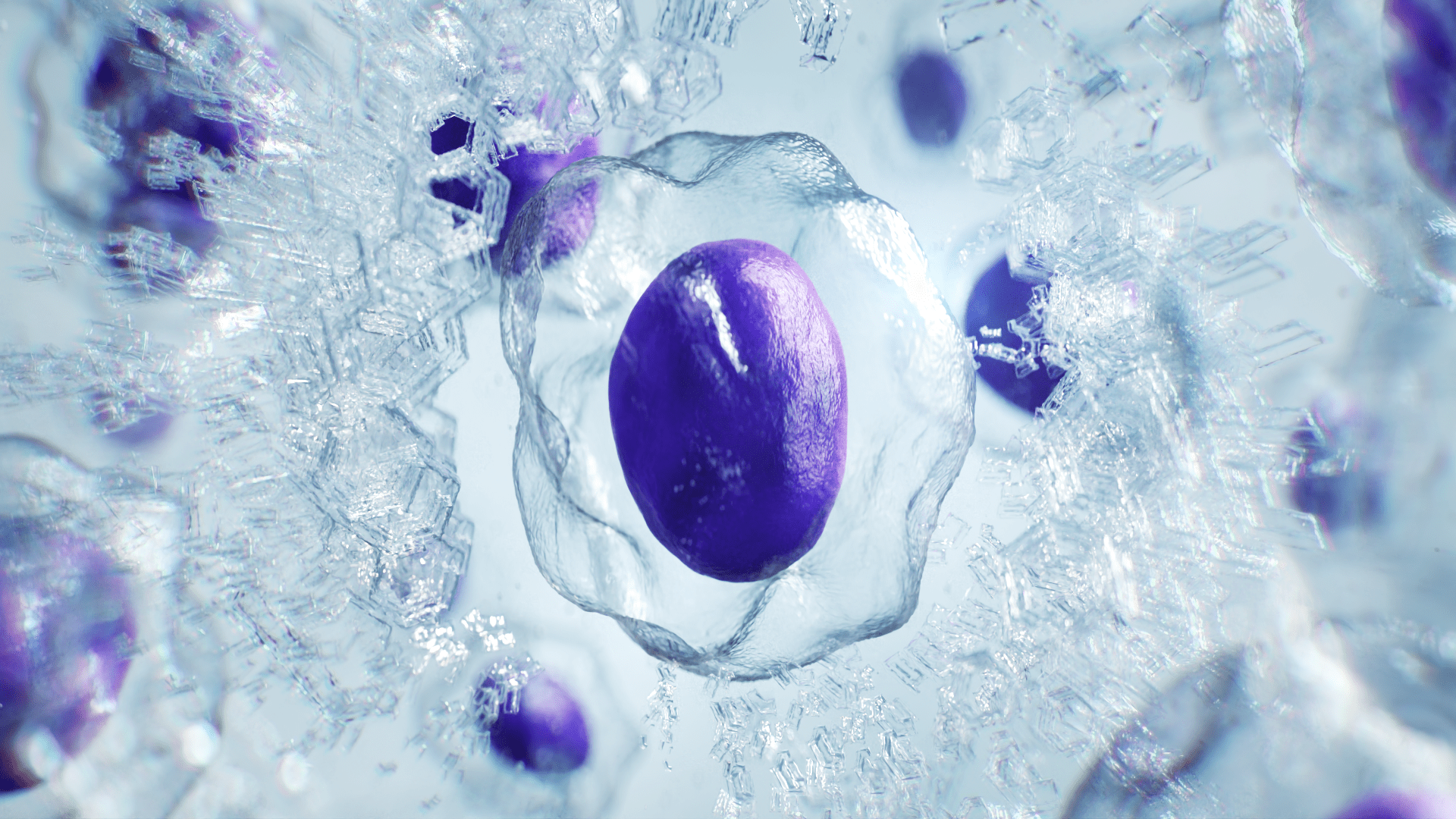Cryopreserved cell surrounded by structured ice crystals, representing BioLife Solutions’ focus on protecting cell integrity during freezing and storage.