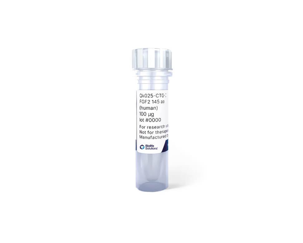 FGF-2 - Product