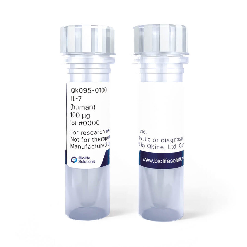 QKINE IL-7 - Product